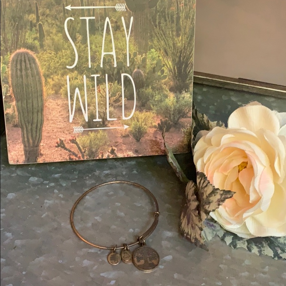 Alex & Ani Stackable Tree of Life Bangle